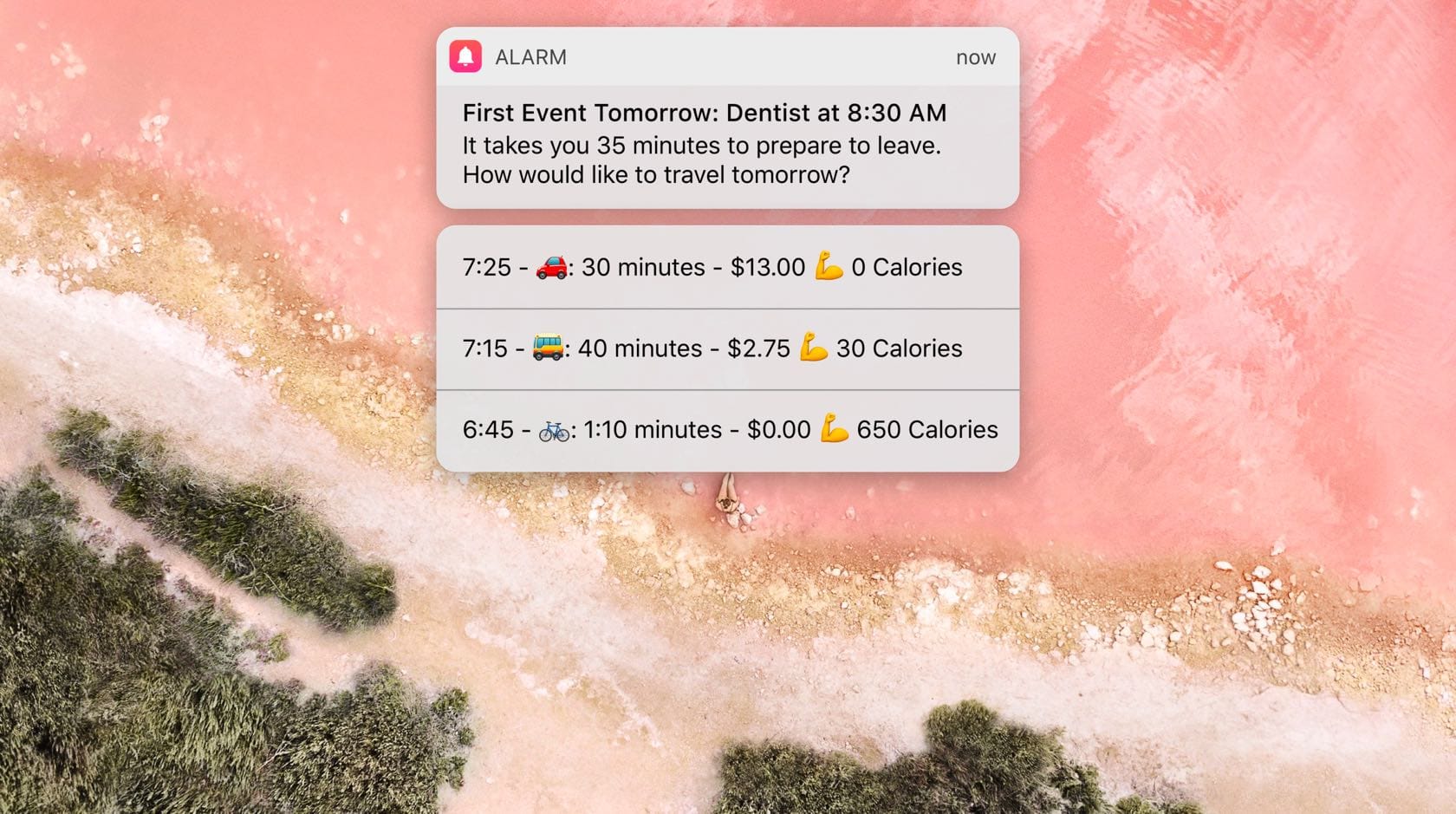 Design Without a Designer series cover