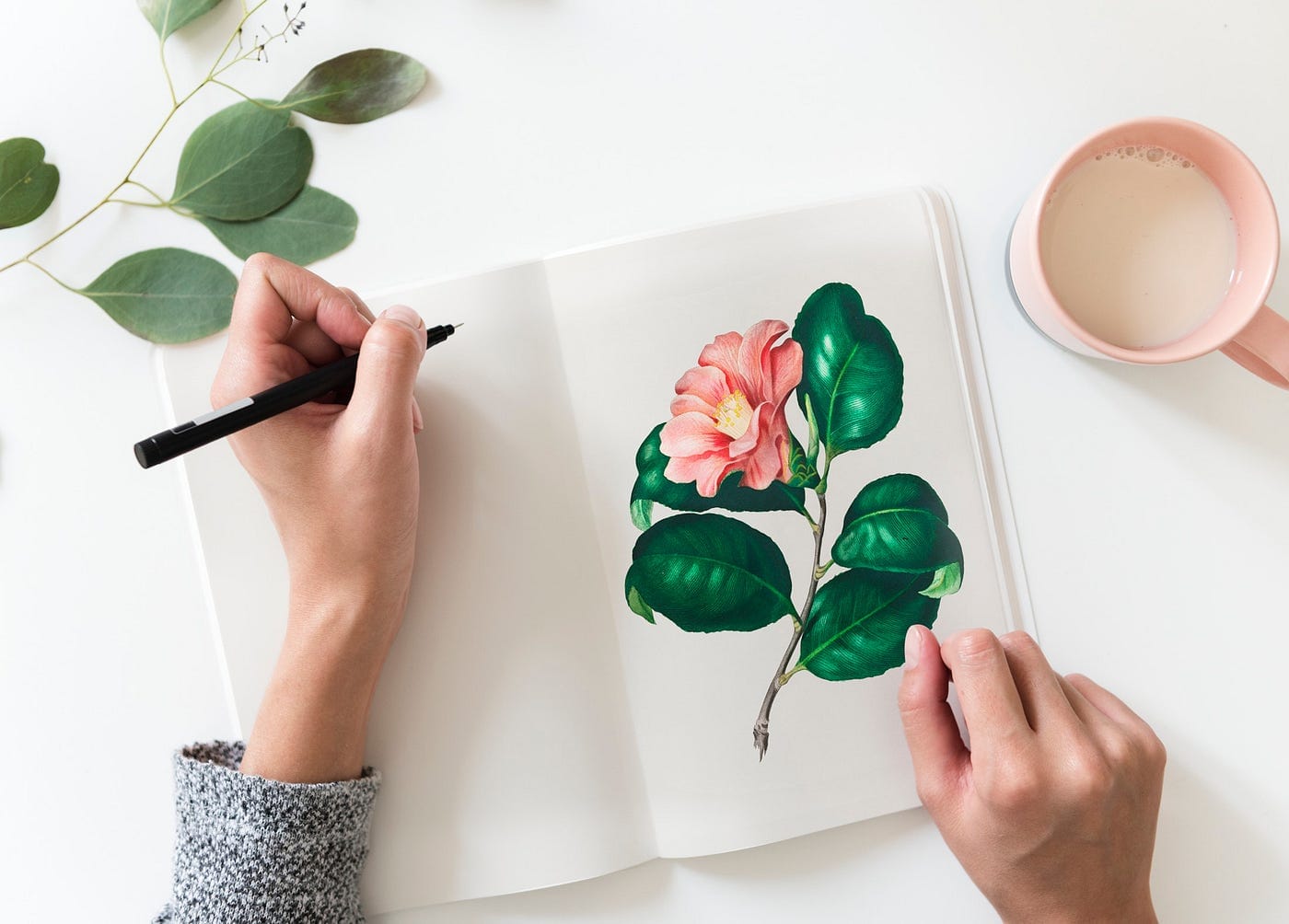 Hands drawing a botanical illustration representing the pursuit of perfection