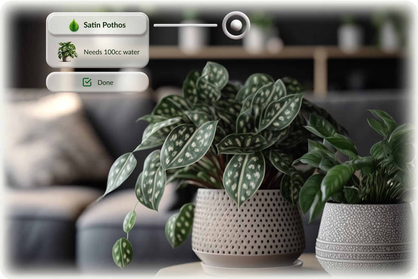 Expanded AR notification showing detailed plant care information