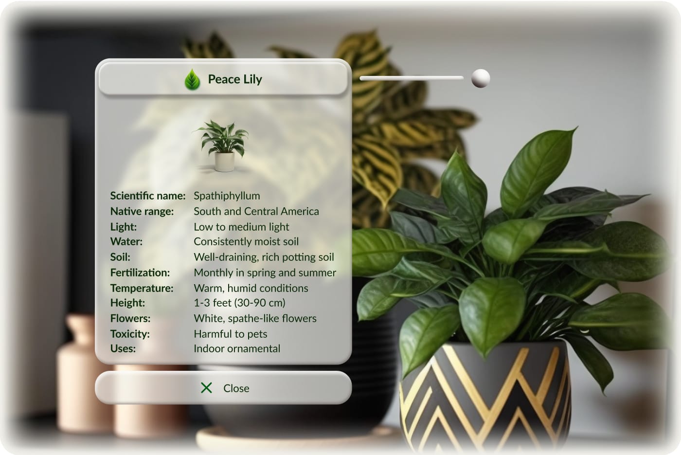 Detailed plant information panel showing name, watering history, and care tips