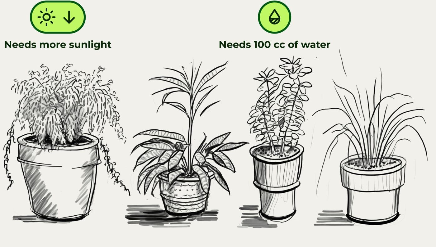User journey step 2: AR notification expands showing plant care needs