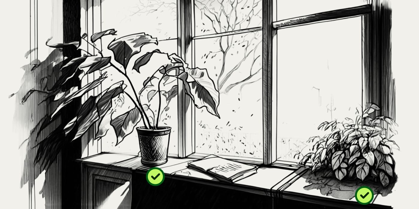 User journey step 3: Plant status updates after care actions